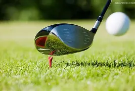 爱游戏-高尔夫夜战：姑苏银狐队逆转关东猎隼队，主帅临场妙招观赏性拉满的简单介绍